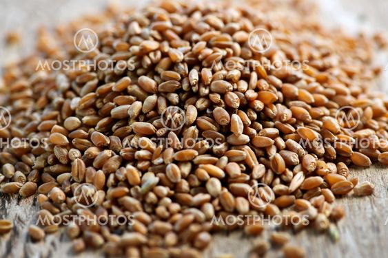Whole grain wheat kernels closeup