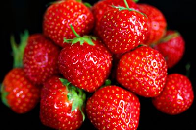 This is a picture from a park in Drammen