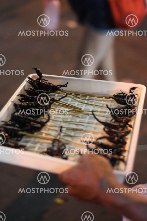Scorpion delight