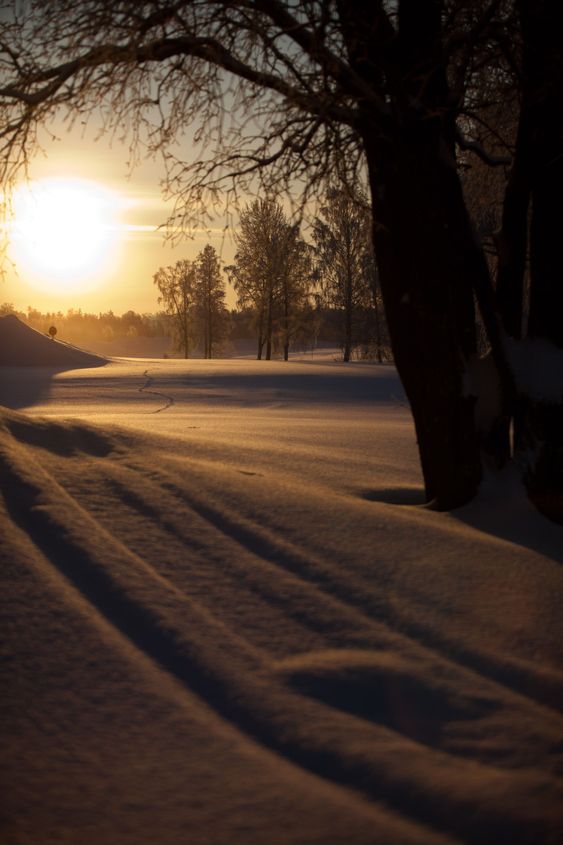 vinter