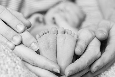 Feet of Newborn baby feet in parent hands, black and...