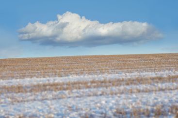 Farm, landscape and ground in nature, snow and clouds in...