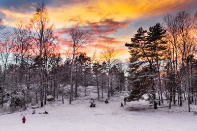 Family winter sports at Hellasgården, Sweden 