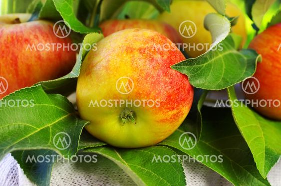 ripe red apple on table and green leaves