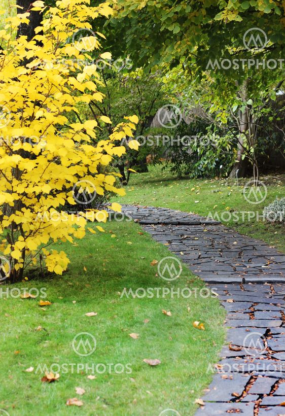 Autumn Japanese garden