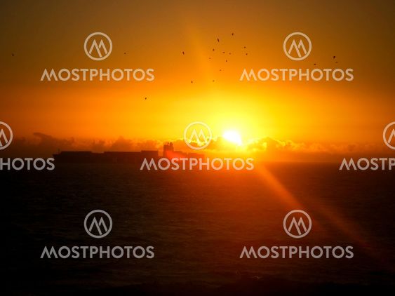 Golden Sunset with birds