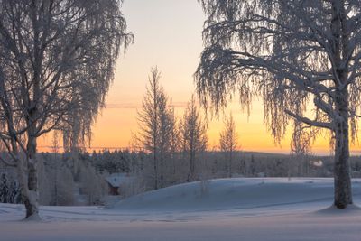 Sunset in winter landscape