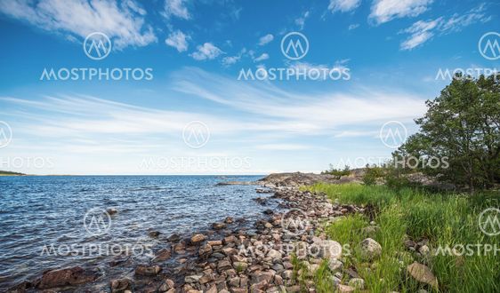 Shoreline in the baltic sea during summer