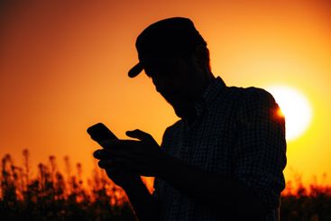 Silhouette of male farmer using mobile phone in blooming...