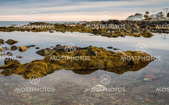 Maine coast at sunset