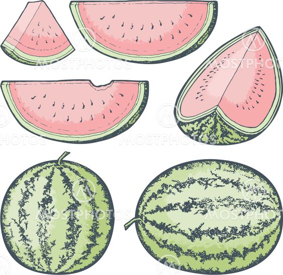 Watermelon Sketches