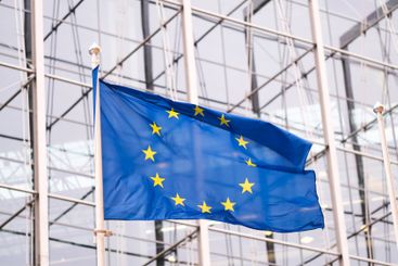 Flag of the European Union