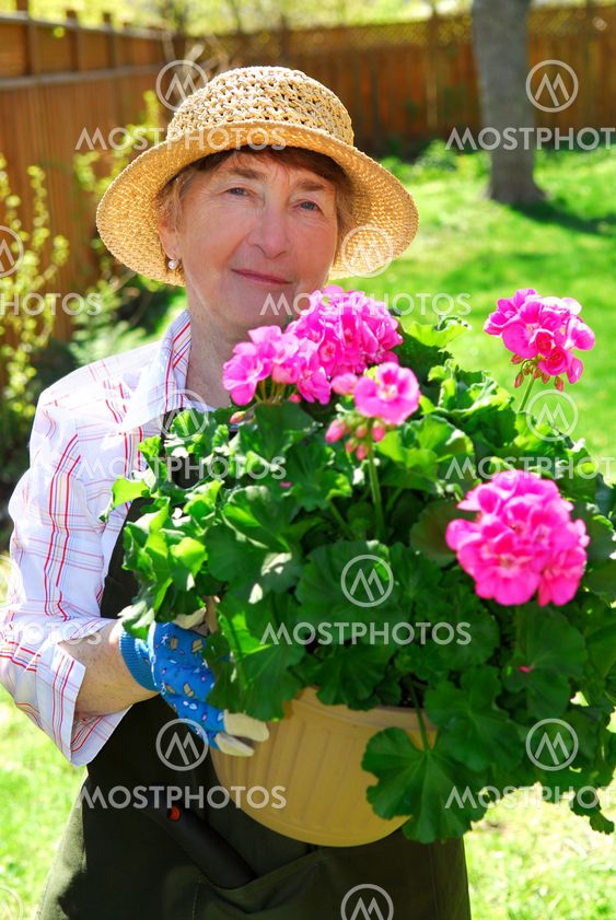 Senior woman gardening
