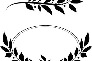 Tree branch and leaf frame on white