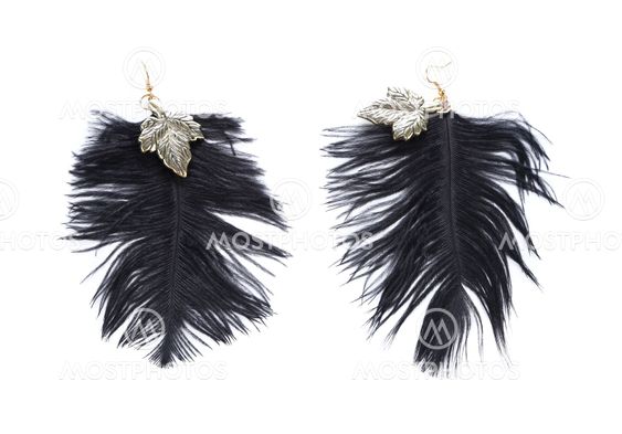 Pair of women's earrings their feathers