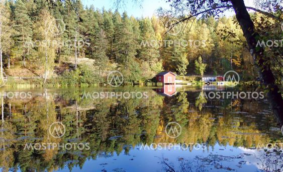 Autumn at River