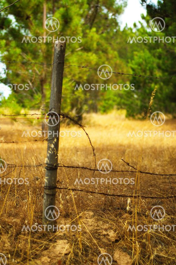 Fence Pole