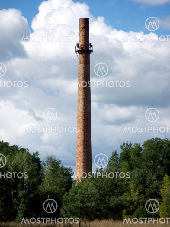 Chimney in the forest