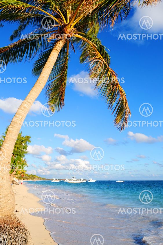 Tropical beach