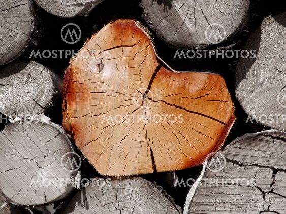 Heart of wood