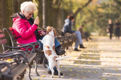 Old woman with a dog 