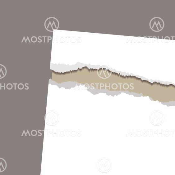 torn paper reveal rustic