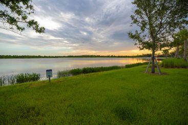 Florida evening nature. Wetland lake at sunset