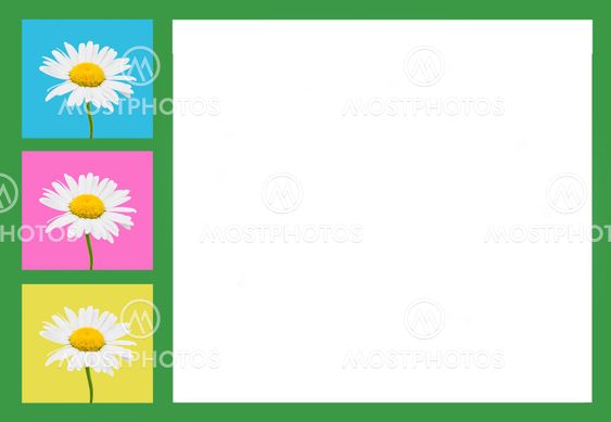 Sammansättningen av camomile blommor i en ram