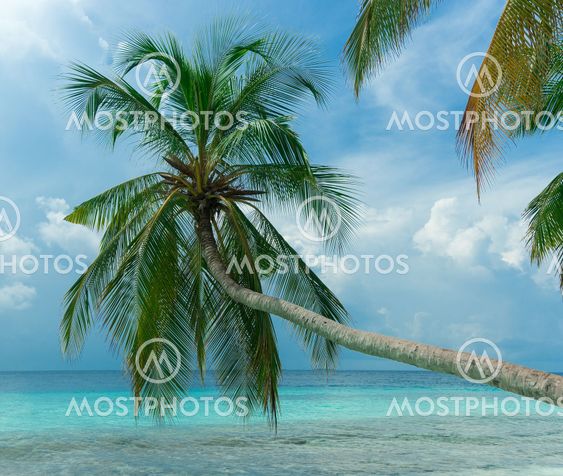 Perfect tropical island paradise beach
