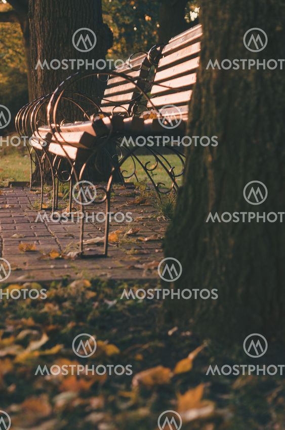 Two benches in autumn park during sunset