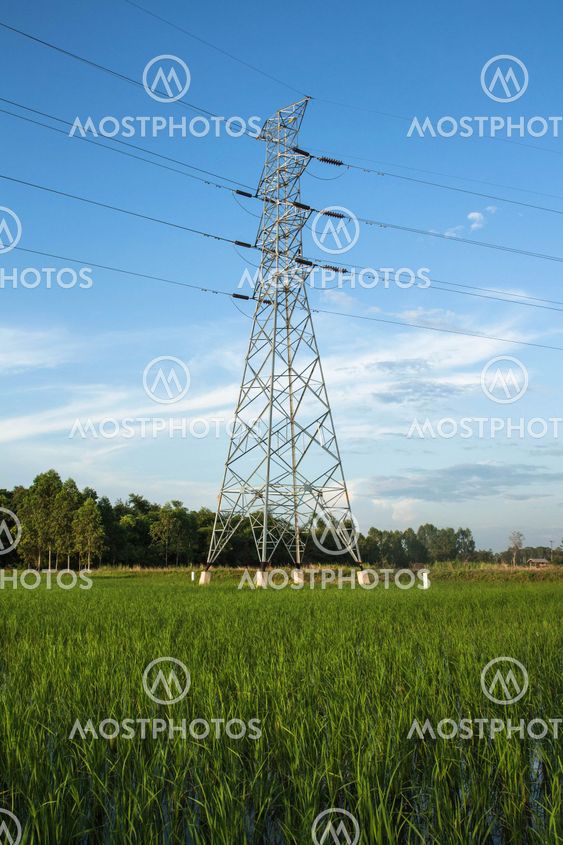 High voltage pylon in paddy