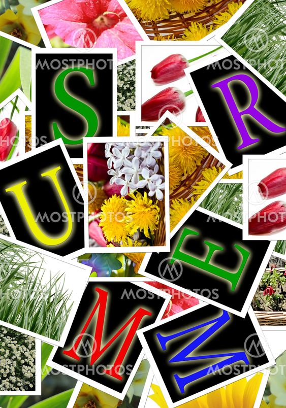 Summer background with flowers photos and letters cards