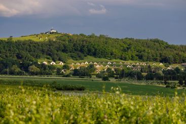Traditional wine cellars (Gombos-hegyi pincesor) in...