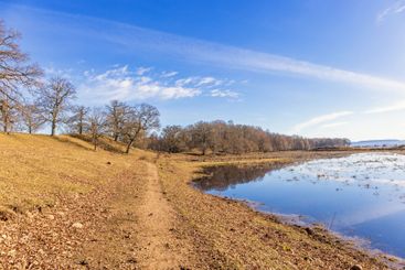 Path by a lake on a beautiful spring day