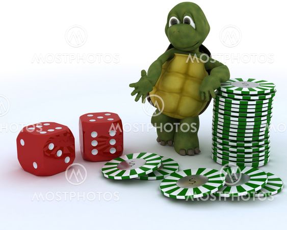tortoise with casino dice and chips