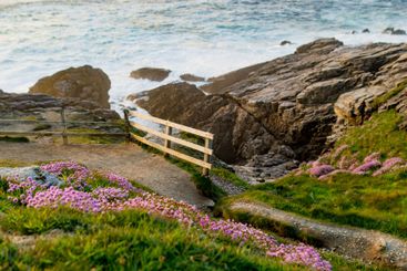 Rough and rocky shore at Malin Head, Ireland's...