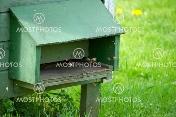 Beehive