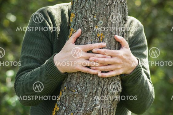 man hugging a tree in a forest