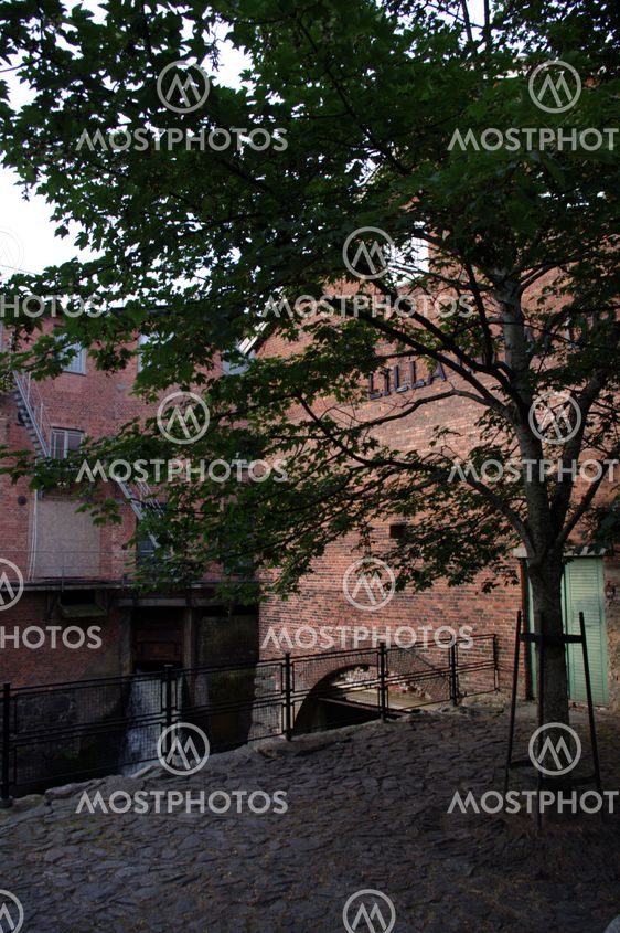 The facade behind the tree.