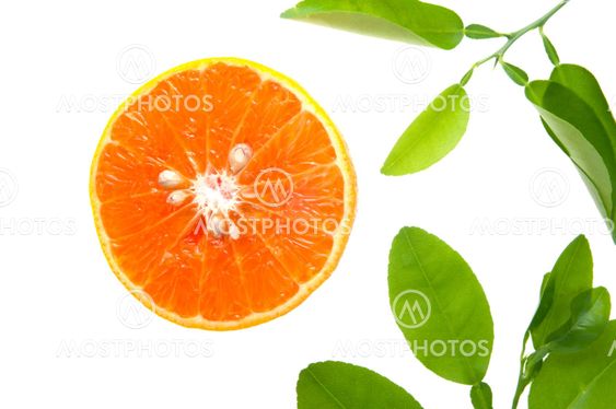 Slices of orange