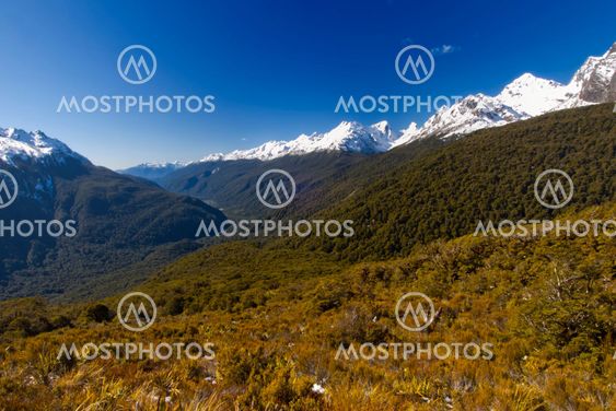 Milford Sound Valley