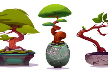 Bonsai trees set isolated on white