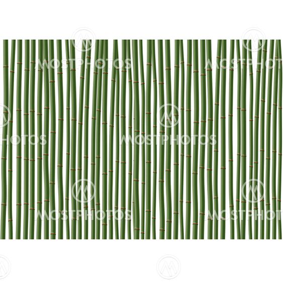 A bamboo background.