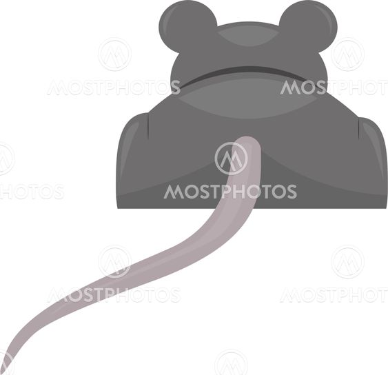 Gray mouse back