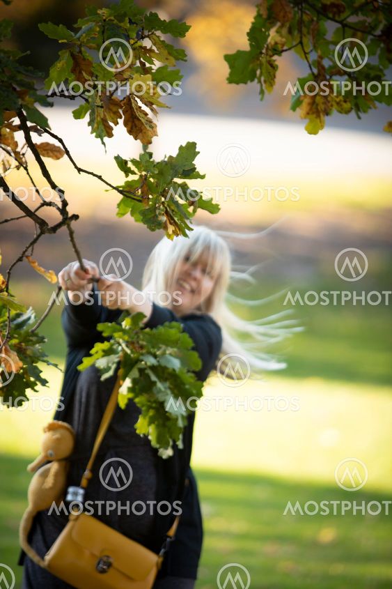 Autumn in Norway