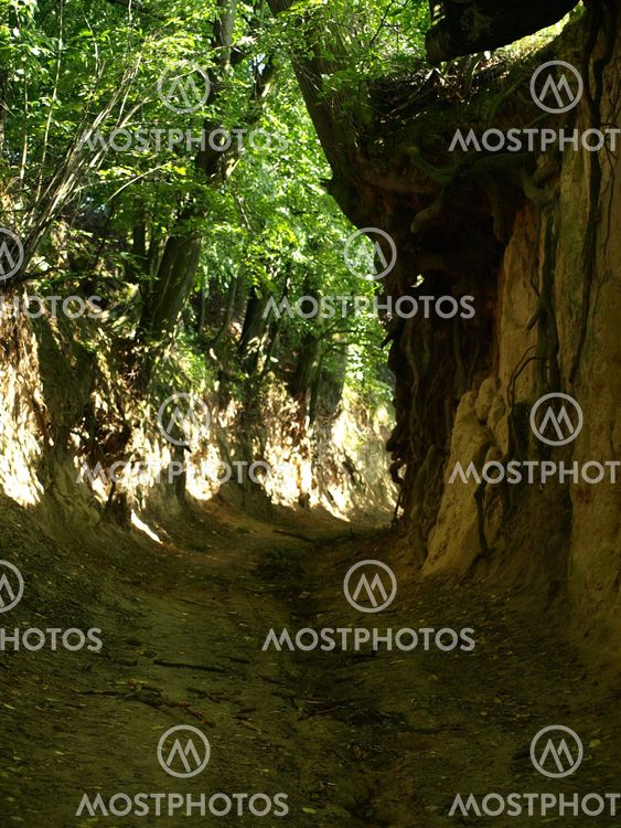 Ravine in Kazimierz Dolny, Poland
