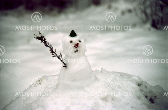 Tiny snowman