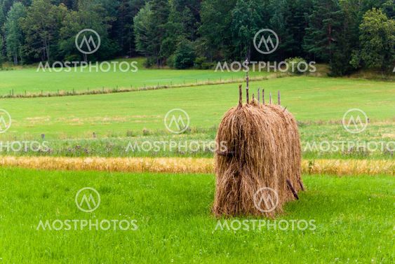 Hay stack