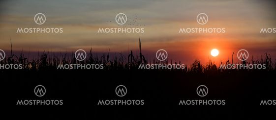 sunset at etosha national park