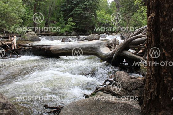 Summer Runoff